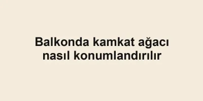 Balkonda kamkat ağacı nasıl konumlandırılır