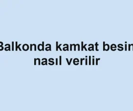 Balkonda kamkat besini nasıl verilir