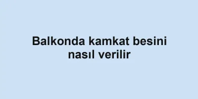 Balkonda kamkat besini nasıl verilir