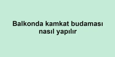 Balkonda kamkat budaması nasıl yapılır
