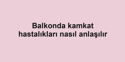 Balkonda kamkat hastalıkları nasıl anlaşılır