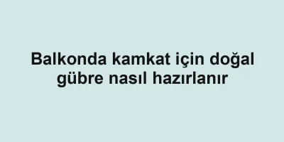 Balkonda kamkat için doğal gübre nasıl hazırlanır