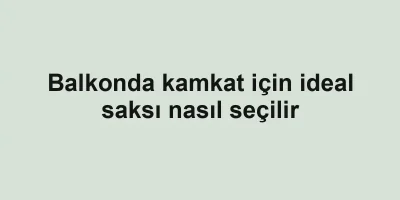 Balkonda kamkat için ideal saksı nasıl seçilir