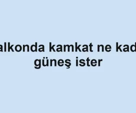 Balkonda kamkat ne kadar güneş ister