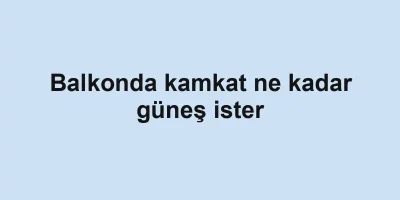 Balkonda kamkat ne kadar güneş ister