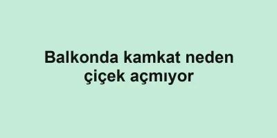 Balkonda kamkat neden çiçek açmıyor
