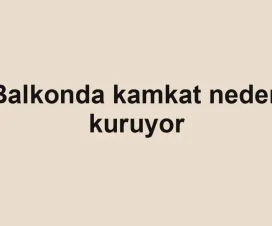 Balkonda kamkat neden kuruyor