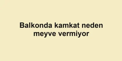 Balkonda kamkat neden meyve vermiyor