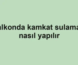 Balkonda kamkat sulaması nasıl yapılır