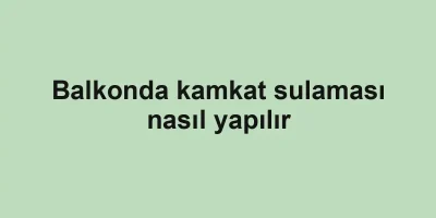Balkonda kamkat sulaması nasıl yapılır
