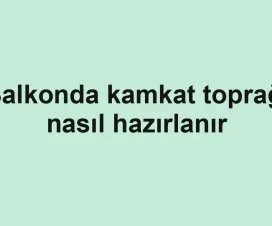 Balkonda kamkat toprağı nasıl hazırlanır