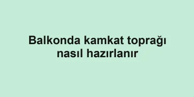 Balkonda kamkat toprağı nasıl hazırlanır