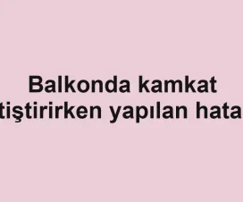 Balkonda kamkat yetiştirirken yapılan hatalar