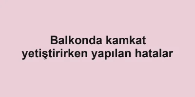 Balkonda kamkat yetiştirirken yapılan hatalar