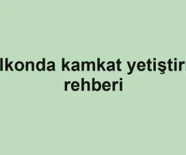 Balkonda kamkat yetiştirme rehberi