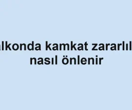 Balkonda kamkat zararlıları nasıl önlenir