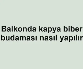 Balkonda kapya biber budaması nasıl yapılır