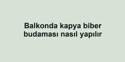 Balkonda kapya biber budaması nasıl yapılır