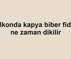 Balkonda kapya biber fidesi ne zaman dikilir