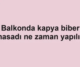 Balkonda kapya biber hasadı ne zaman yapılır