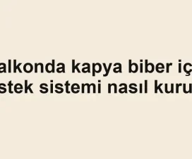 Balkonda kapya biber için destek sistemi nasıl kurulur