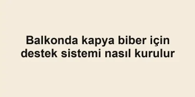 Balkonda kapya biber için destek sistemi nasıl kurulur