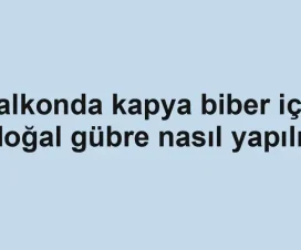 Balkonda kapya biber için doğal gübre nasıl yapılır