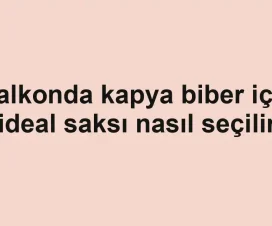 Balkonda kapya biber için ideal saksı nasıl seçilir