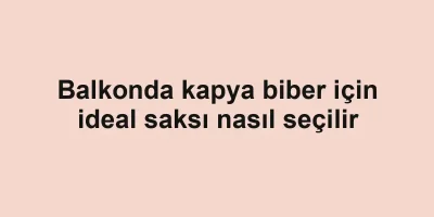 Balkonda kapya biber için ideal saksı nasıl seçilir
