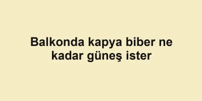 Balkonda kapya biber ne kadar güneş ister