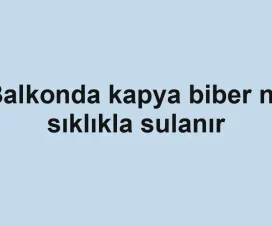 Balkonda kapya biber ne sıklıkla sulanır