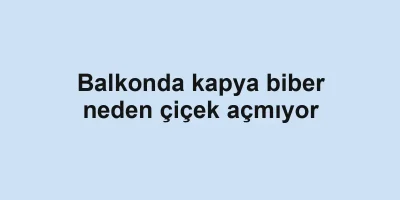 Balkonda kapya biber neden çiçek açmıyor