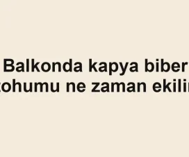 Balkonda kapya biber tohumu ne zaman ekilir