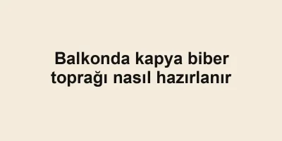 Balkonda kapya biber toprağı nasıl hazırlanır