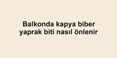 Balkonda kapya biber yaprak biti nasıl önlenir