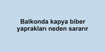 Balkonda kapya biber yaprakları neden sararır