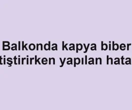 Balkonda kapya biber yetiştirirken yapılan hatalar