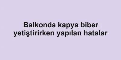 Balkonda kapya biber yetiştirirken yapılan hatalar