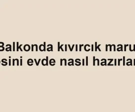 Balkonda kıvırcık marul besini evde nasıl hazırlanır