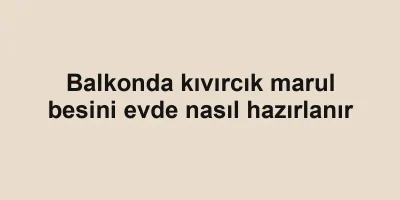 Balkonda kıvırcık marul besini evde nasıl hazırlanır