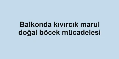Balkonda kıvırcık marul doğal böcek mücadelesi