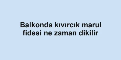 Balkonda kıvırcık marul fidesi ne zaman dikilir