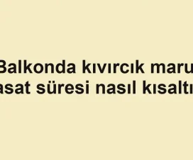 Balkonda kıvırcık marul hasat süresi nasıl kısaltılır