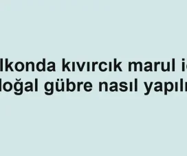Balkonda kıvırcık marul için doğal gübre nasıl yapılır