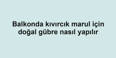 Balkonda kıvırcık marul için doğal gübre nasıl yapılır