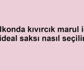 Balkonda kıvırcık marul için ideal saksı nasıl seçilir