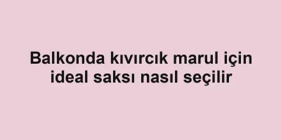 Balkonda kıvırcık marul için ideal saksı nasıl seçilir