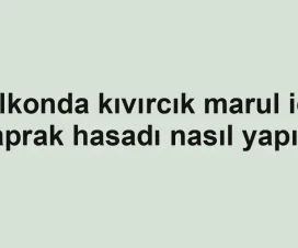 Balkonda kıvırcık marul için yaprak hasadı nasıl yapılır
