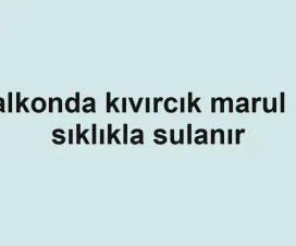 Balkonda kıvırcık marul ne sıklıkla sulanır