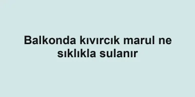 Balkonda kıvırcık marul ne sıklıkla sulanır